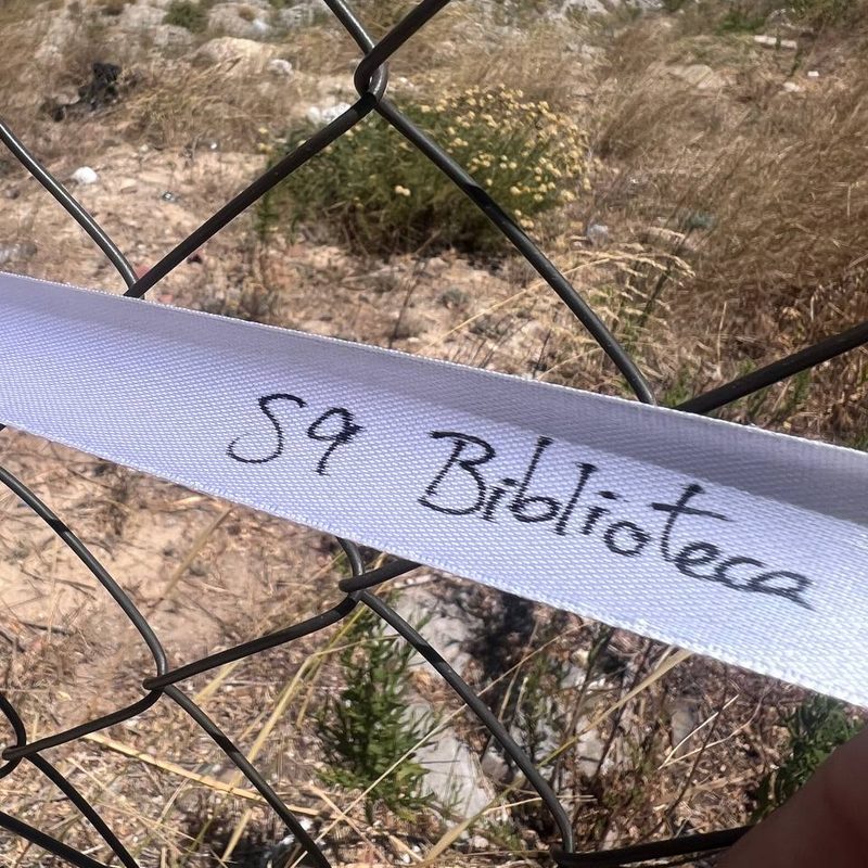 Cinta con el deseo: Biblioteca
