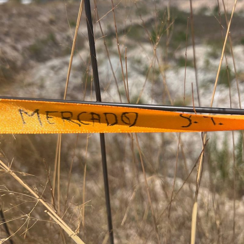 Cinta con el deseo: Mercado