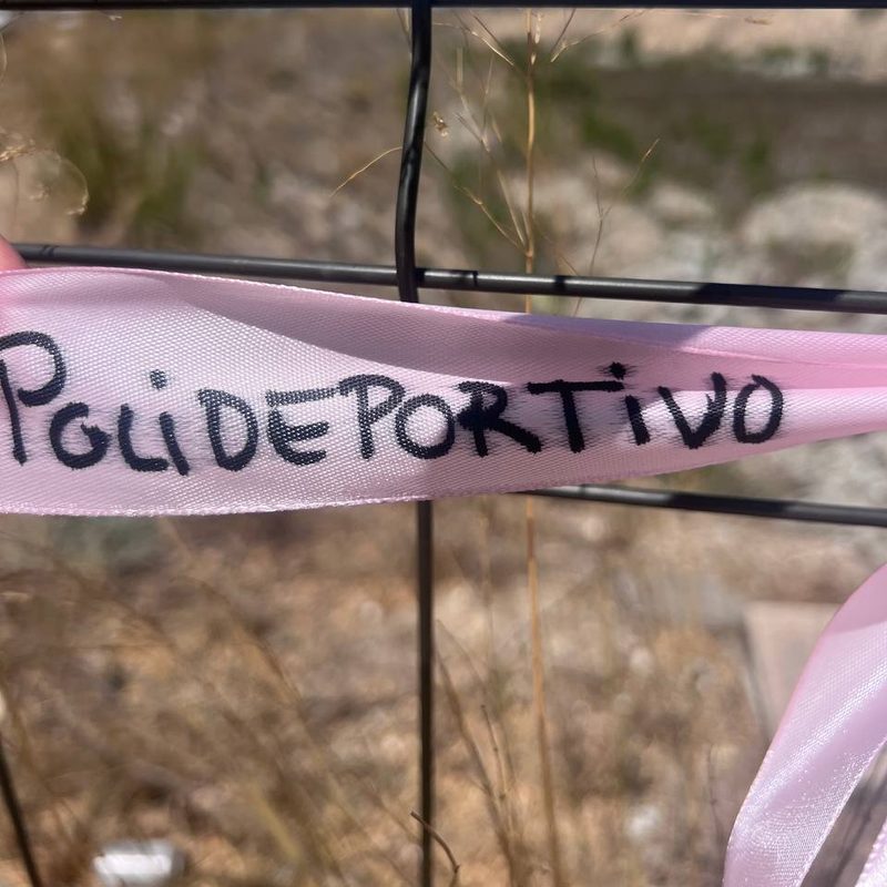 Cinta con el deseo: Polideportivo
